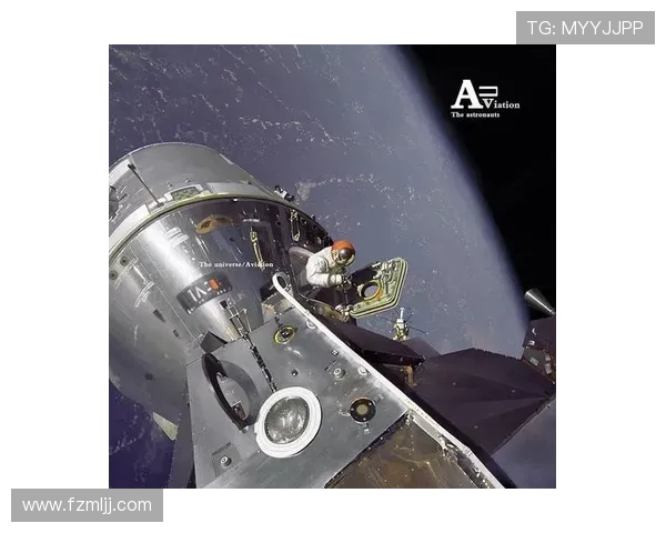 BLG崛起之路：从默默无闻到世界冠军的成长传奇