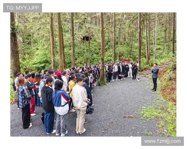 南京街舞队技术对比深度解析与发展趋势探讨